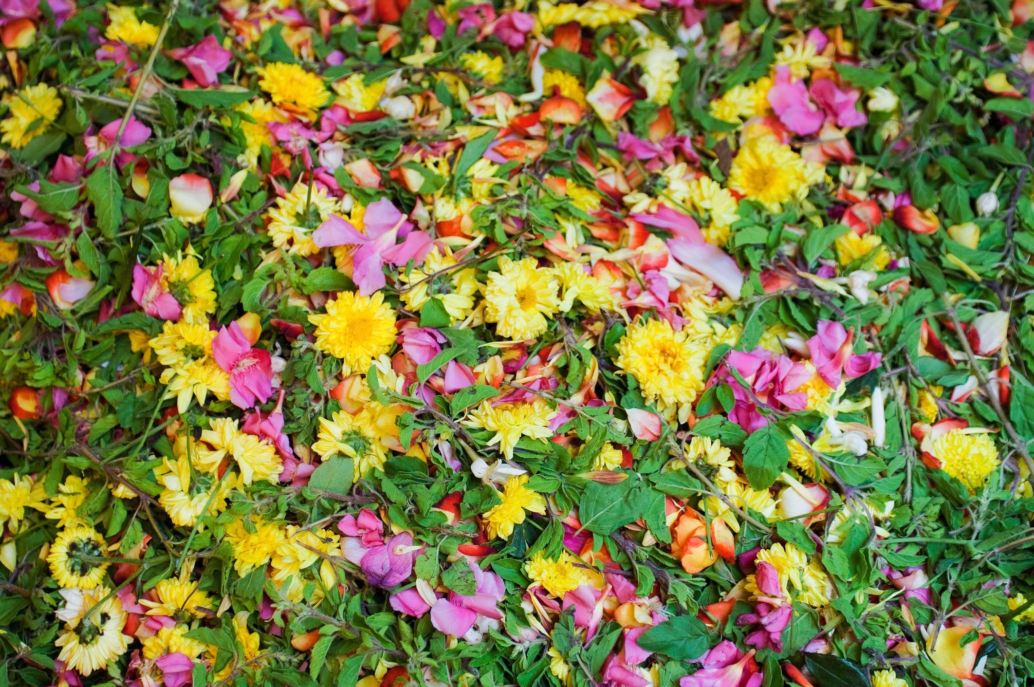 Assorted flowers for sale in market, Mysore, Karnataka